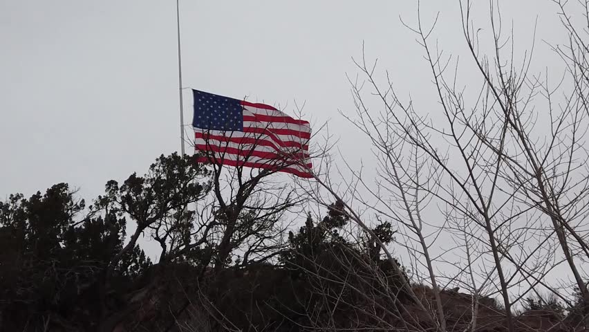 Us Flag At Half Mast Behind Tree Silhouette