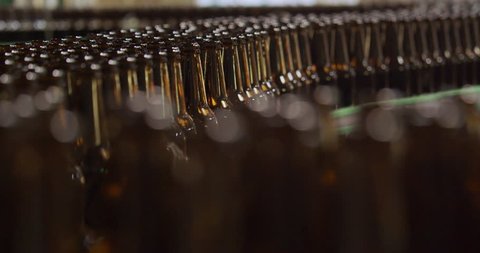 Brown bottles on the filling line in a modern brewery -- shallow depth of field medium shot of a transporter