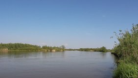 Summer landscape on the river Ob