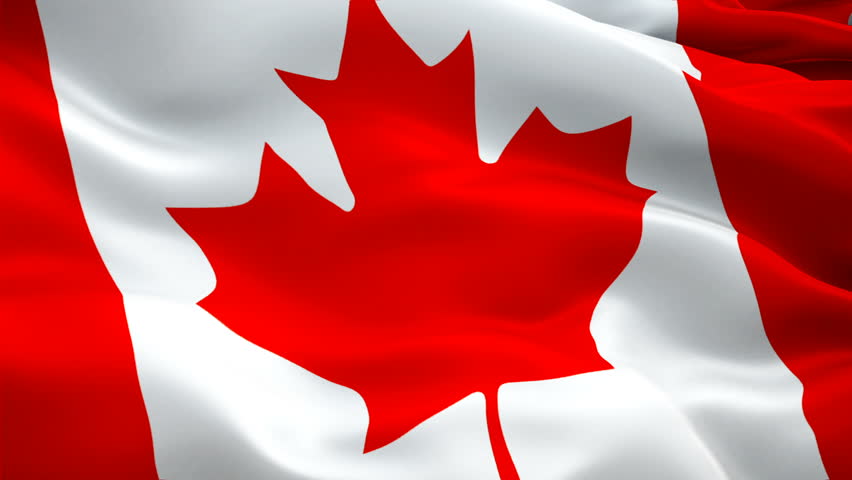 Canadian flag waving in wind video footage Full HD. Realistic Canadian Flag background. Canada Flag Looping Closeup 1080p Full HD 1920X1080 footage. Canada North American country flags Full HD
 Royalty-Free Stock Footage #1023714091