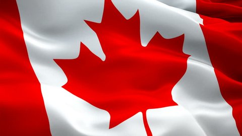 Canada flag video waving in wind. Realistic Canadian Flag background. Red maple leaf flag Closeup 1080p HD video. Ottawa 1080p Full HD 1920X1080 footage video waving.Canada seamlessly looping footage
