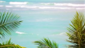 Waves on a tropical beach with palm leaves. FullHD stock video