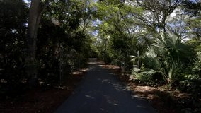 Bicycle Ride Point-of-View Travelling through the Woods Along a Concrete Trail at Trade Winds Park, Pompano Beach, Florida in Mid-Morning with the Sun Gleaming Through the Passing Leaves