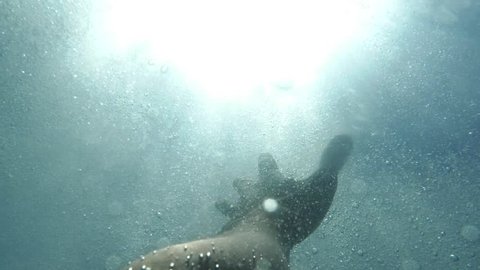 Man's hand stretches underwater to surface of the sea. Arm asking for help in air bubbles and trying to survive. Point of view of man, drowning in deep ocean