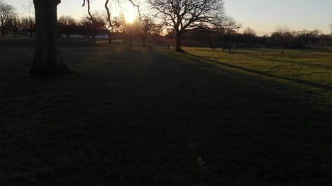 Cine D, Slow Ascend Up Oak Tree Backlit By Sunrise Coventry War Memorial Park Drone Aerial View In Winter.