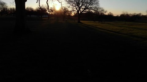 Slow Ascend Up Oak Tree Backlit By Sunrise Coventry War Memorial Park Drone Aerial View In Winter.