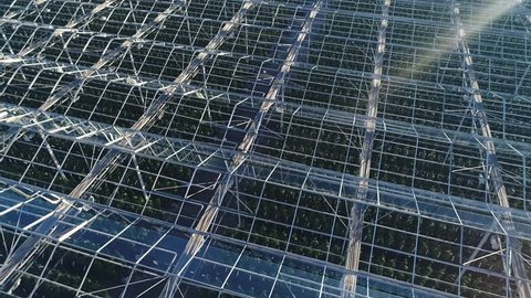 INDUSTRIAL GREENHOUSES FLOWERS FRUITS VEGETABLES FARMS AREA AERIAL SHOT / drone footage /Modern agriculture /  Large greenhouse complex / Sunset/ Night / 