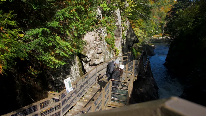 Couple Overlooking Stream & Waterfall in Forest, State Park