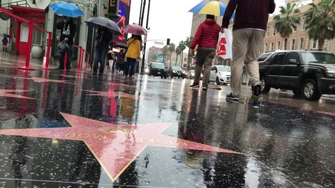 LOS ANGELES, Feb 2nd, 2019: Low angle close up of Mickey Mouse's Walk of Fame star on a rain-soaked Hollywood Boulevard during a storm, with people carrying umbrellas walking past. With ambient sound.