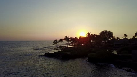 drone flying by palm trees over ocean during sunset