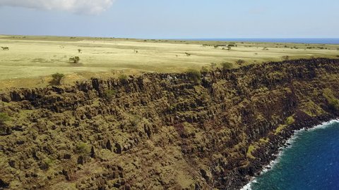 drone flying along cliffs of south point big island hawaii