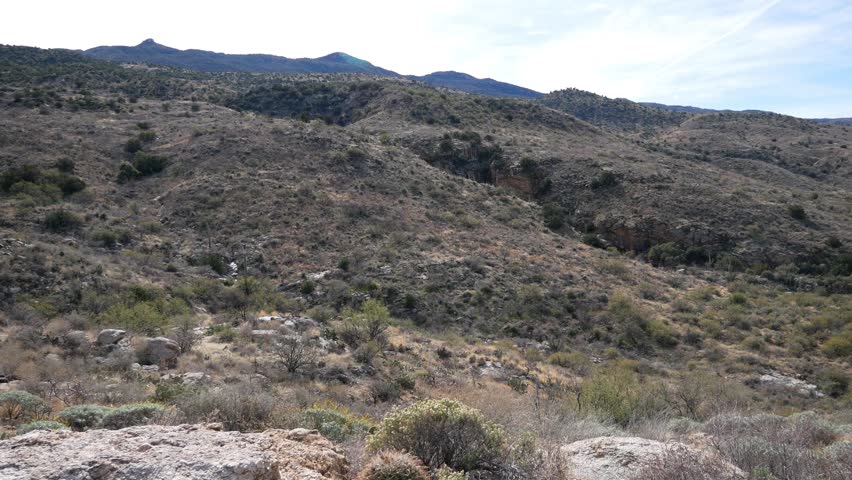 Panning view of the landscape of Saguaro National Park in Tucson, Arizona along the Douglas Spring trail.