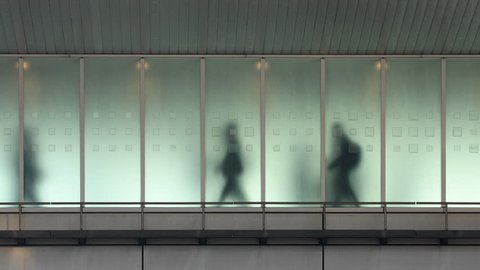 The silhouettes of people walking behind frosted glass in a train station in Tokyo. This video loops seamlessly.