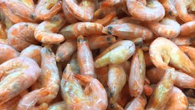 Top view 4k video of raw whole tiger prawns on ice. The supermarket scene