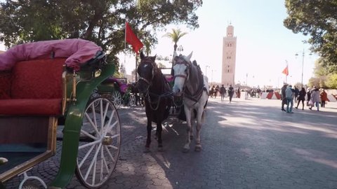 Gimbal shot towards horses in Jama lfna in Marrakesh, Morocco.