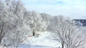 Beautiful riverside trees covered with snow and ice, aerial view.
