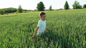 Happy boy is running through the wide field with green wheat at a sunny hot day. Smiling boy in white t-shirt on the field in summer. Slow motion