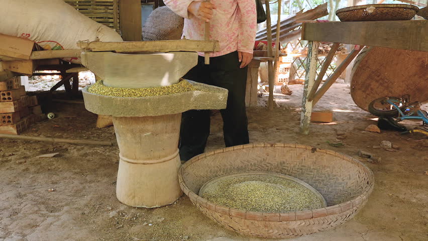 woman using hand-turned millstone to grind green beans and putting it inside a bamboo basket ( close up) 