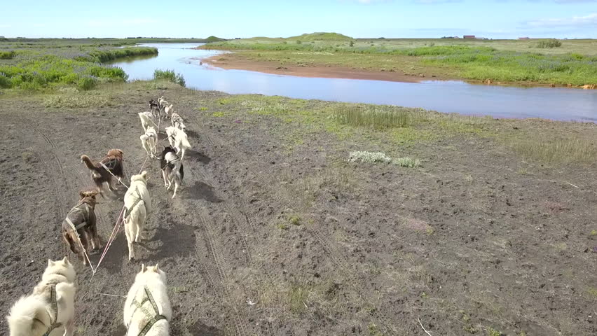 Holmasel, Iceland - 12 21 2018: Dog Sledding tour in Iceland