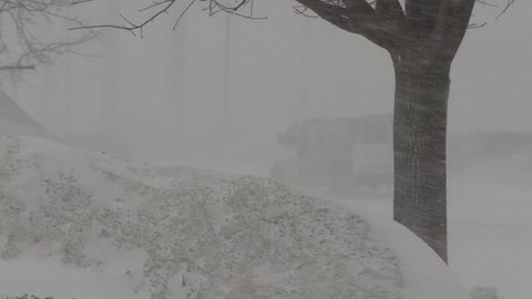 Toronto, Ontario, Canada January 2019 Snow  wind and blizzard conditions in city