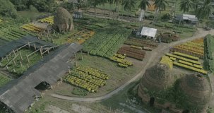 Seen from above on the marigold fields and yellow daisies, purple bougainvillea, overhead shots with unmanned aerial equipment. 4K video, in the Mekong Delta in rural areas of Vietnam in 2019
