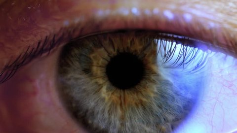 Human eye iris contracting. Extreme close up.

