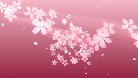 Cherry blossoms are blooming along the trajectory ,in pink background 1