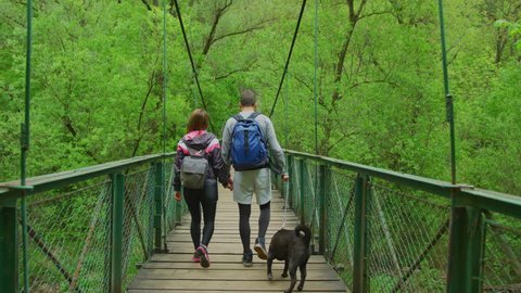 Rear view of a couple with dog walking on a bridge.