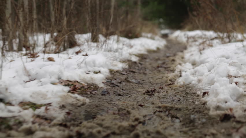 Hiking the Appalachian trail in NJ.