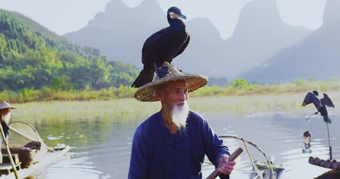 Portrait of cormorant fisherman with his fishing bird on his head and hat on Li River, Xingping,  Guilin, Guangxi Province, China. Slow-motion, hand held, Red cinema camera. 