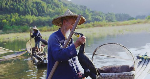 Portrait of cormorant fisherman, displaying his fishing bird on bamboo rafts at sunset on Li River, Xingping,  Guilin, Guangxi Province, China. Slow-motion, hand held, Red cinema camera. 