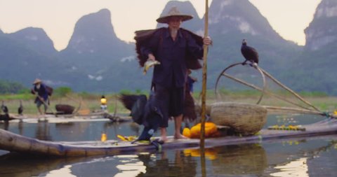 Cormorant fisherman throwing a fish for comorant bird feeding in the Li River on his bamboo raft at sunset, Xingping,  Guilin, Guangxi Province, China. Slow-motion, hand held, Red cinema camera. 