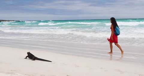 Animals - Vacation travel woman on beach with Marine Iguana walking by on Tortuga bay beach, Santa Cruz Island, Galapagos Islands. Funny travel holidays video, Ecuador, South America.