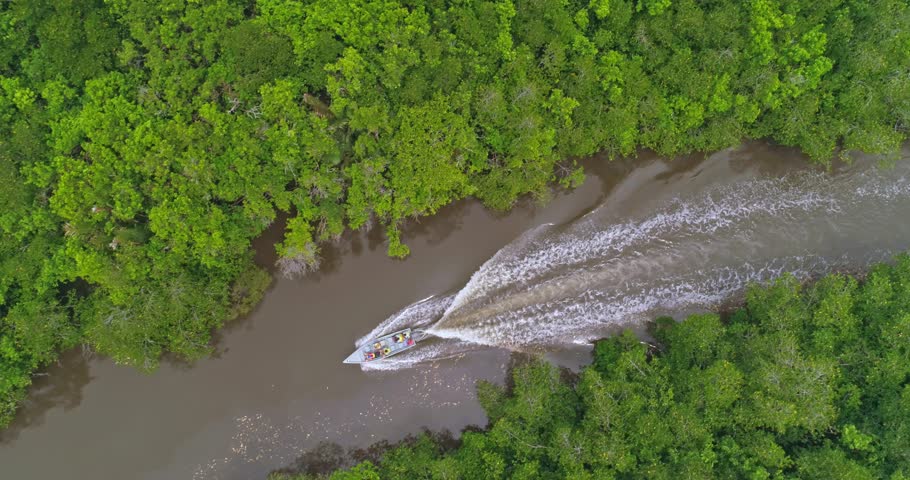 Aerial footage Through the snowy forest nrama have a cliff in the mountains
