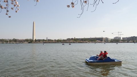Washington, D.C. May 22,Slow motion shot of tourists on a boat ride in Tidal Basin, Washington DC Cherry Blossom Festival, 3 Axis Gimbal