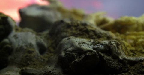  Abstract macro composition. Excavating bones dinosaur in the sand, Skeleton and archaeological find. 4k. 