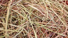 hay straw pet bedding dry herbs grass food closeup texture pattern seamless looping rotating video footage hd resolution.