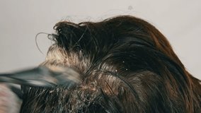 The overgrown gray roots of a middle-aged woman who dues her hair herself with a special brush, looks close up. Dark hair and white roots of a woman's head on white background. Hair care close up view