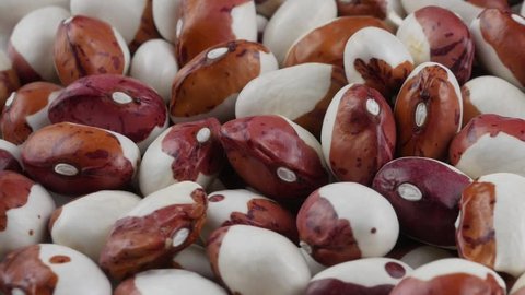 Colorful bean seed were produced under organic condition.