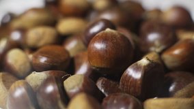Chestnut stock video is an awesome footage clip that shows close-ud of chestnut