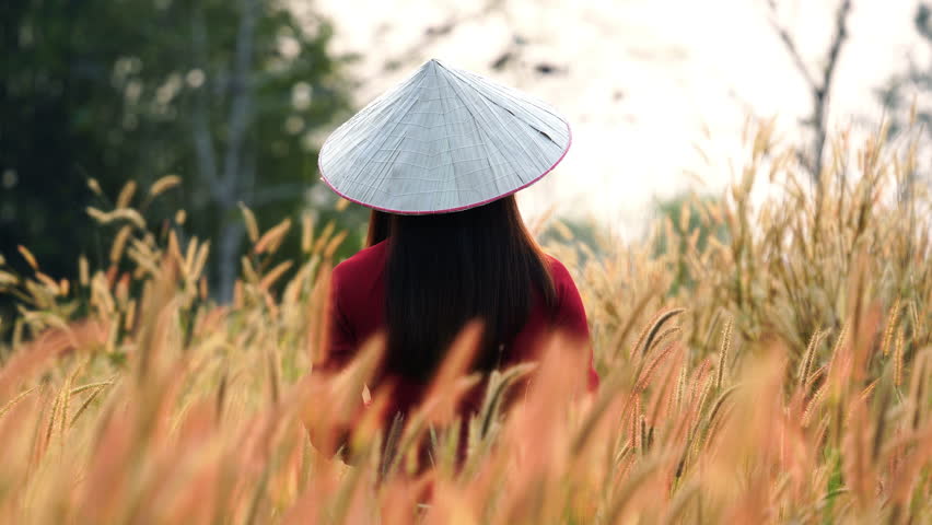 Vietnam girl in the national dress Ao dai and smiling.