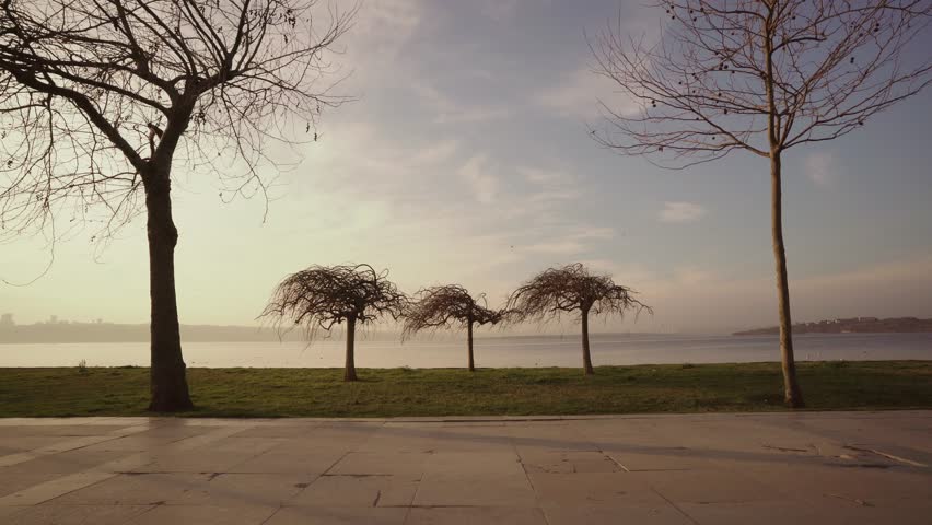 lake bike road