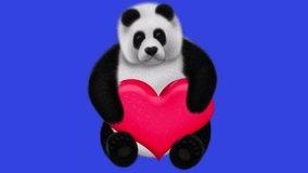 Video animation: panda hugs heart. Alpha mask Luma Matte, 4k. Blue Screen.