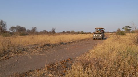 4K aerial view of tourists on a 4x4 safari vehicle going on a game drive,Hwange National Park, Zimbabwe