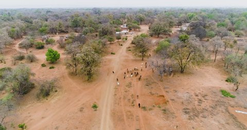 4K aerial view of a rural village with cattle roaming free, Mahenye Village, Zimbabwe