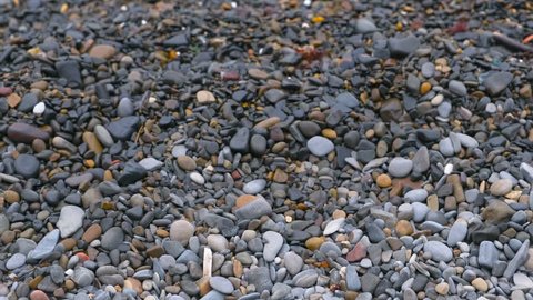 Small colorful and grey pebbles close-up view.