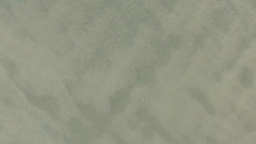 Sand floor on beach, a Nature Video by Alex Nicol