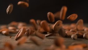Cocoa beans falling on board close up macro shot Slow Motion video
