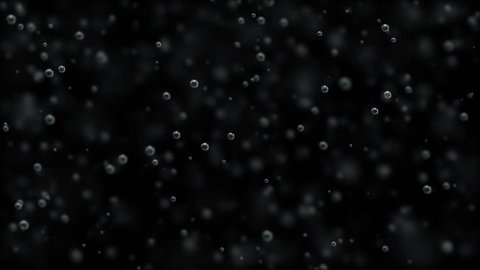 Bubbles of champagne rise up on a black background.