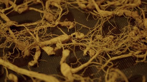Taupo, Taupo / New Zealand - 07 10 2018: Sliding camera move of drying ginseng roots